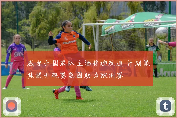 威尔士国家队主场将迎改造 计划聚焦提升观赛氛围助力欧洲赛