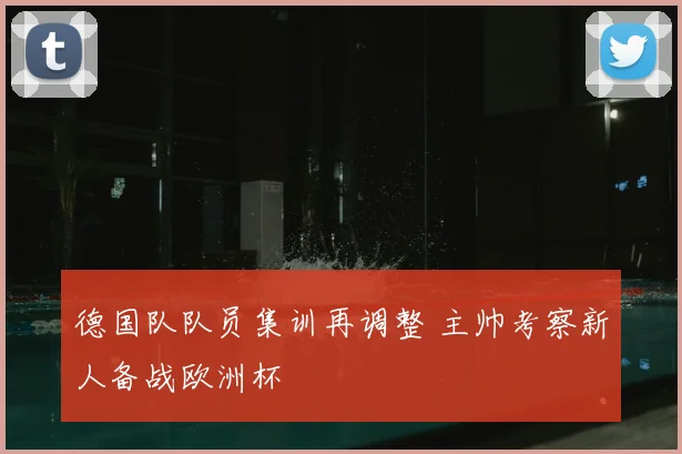 德国队队员集训再调整 主帅考察新人备战欧洲杯