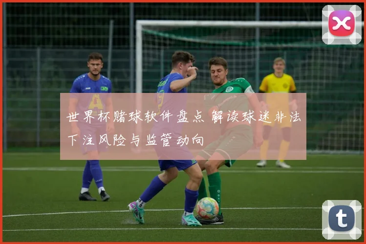 世界杯赌球软件盘点 解读球迷非法下注风险与监管动向