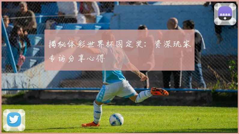 揭秘体彩世界杯固定奖:资深玩家专访分享心得
