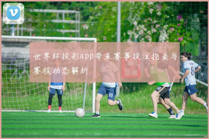 世界杯投彩app带来赛事投注指南与赛程动态解析
