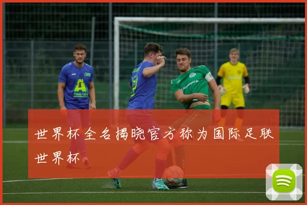 世界杯全名揭晓官方称为国际足联世界杯