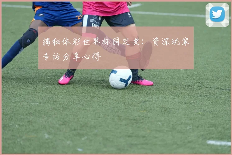 揭秘体彩世界杯固定奖:资深玩家专访分享心得