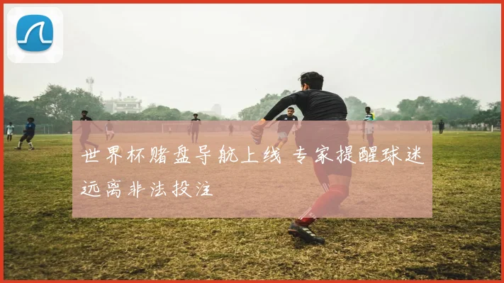 世界杯赌盘导航上线 专家提醒球迷远离非法投注