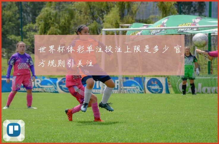 世界杯体彩单注投注上限是多少 官方规则引关注