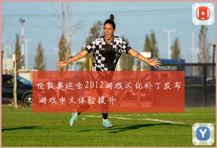 伦敦奥运会2012游戏汉化补丁发布 游戏中文体验提升