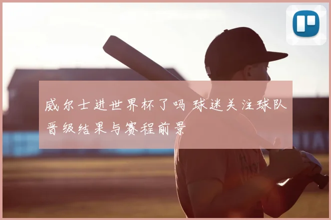 威尔士进世界杯了吗 球迷关注球队晋级结果与赛程前景